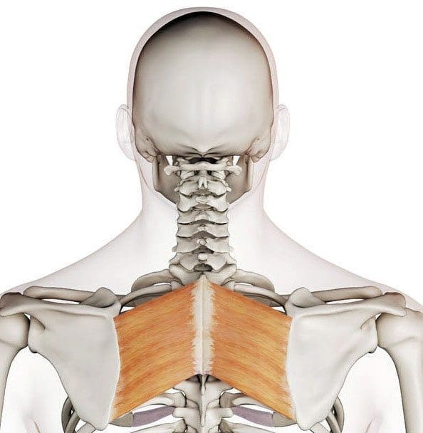 Upper Back Pain Relief: Tips for Better Posture