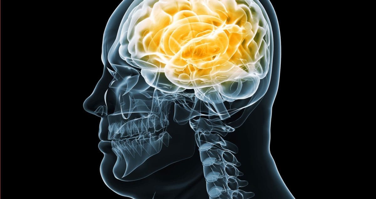Functional Neurology: Brain Health and Obesity | El Paso, TX Chiropractor