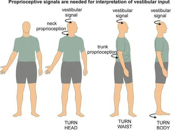 Kinesthesia: Coping with Pain and Enhancing Mobility
