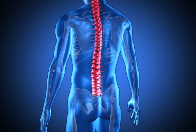 chiroback