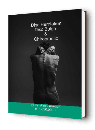 Disc Herniation Disc Bulge Chiropractic Ebook Cover