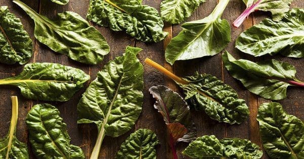 blog picture of rainbow chard on a table