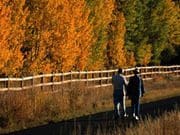 Exercise A Great Prescription To Help Older Hearts