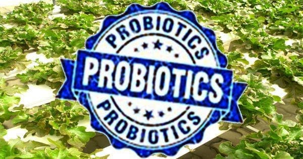 blog picture of farm vegetables and a sign that says pre and probitics