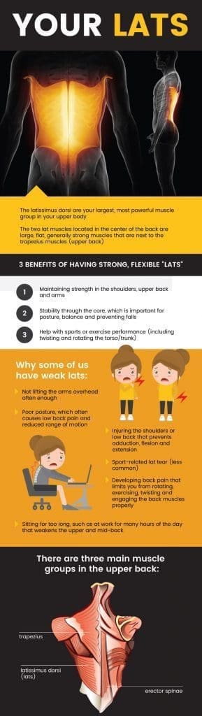 Lats Graphic