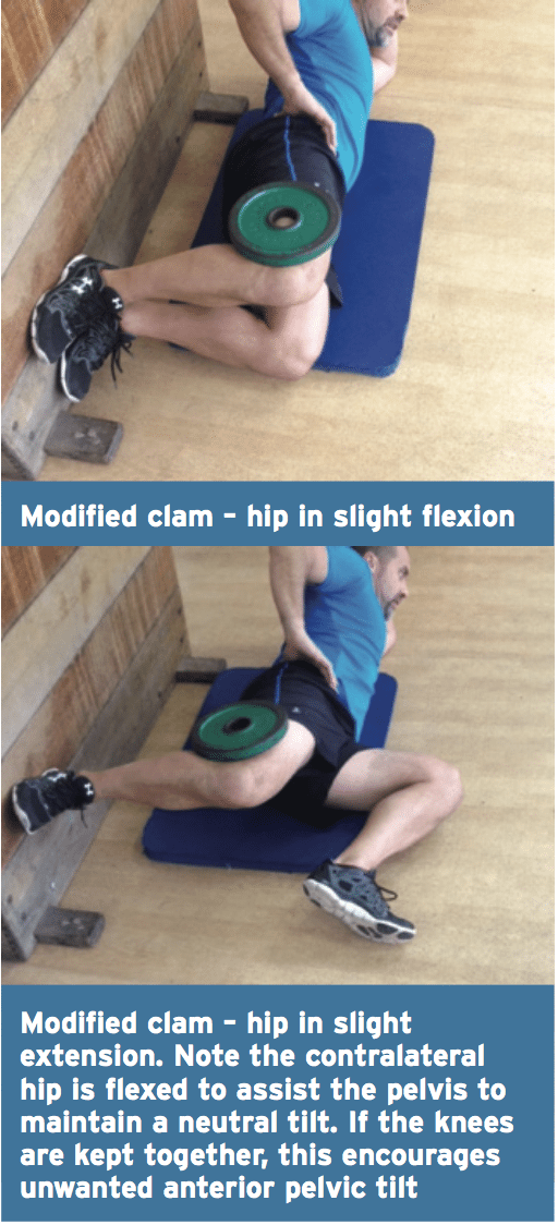 modified clam