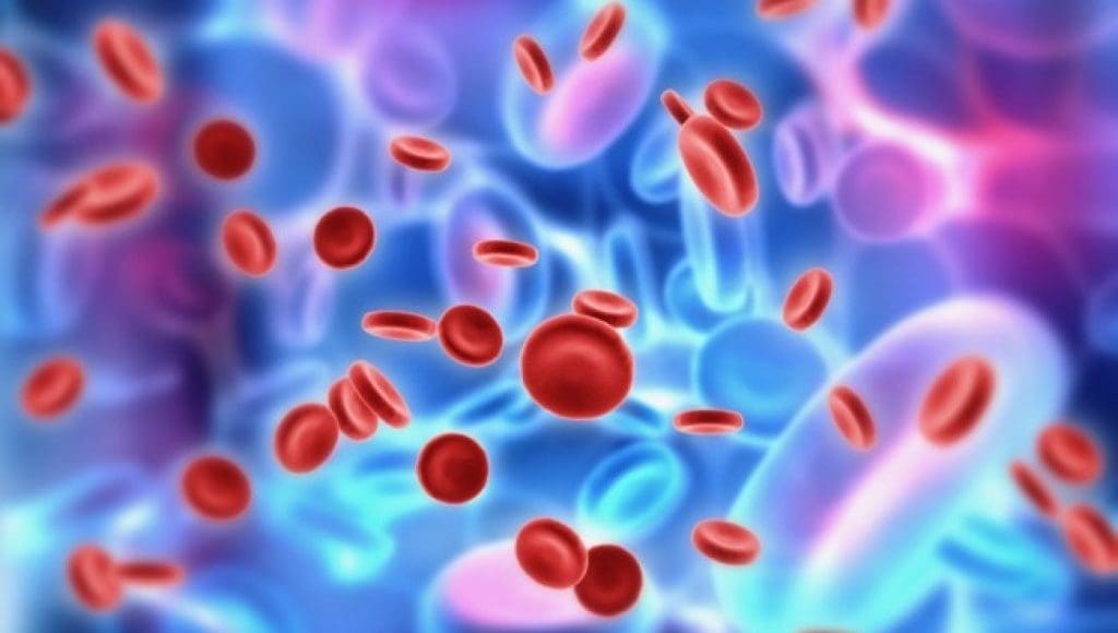 What is Autoimmune Disease and How to Reduce it? | Wellness Clinic