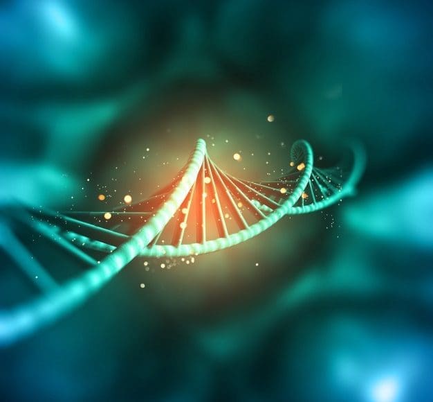 dna