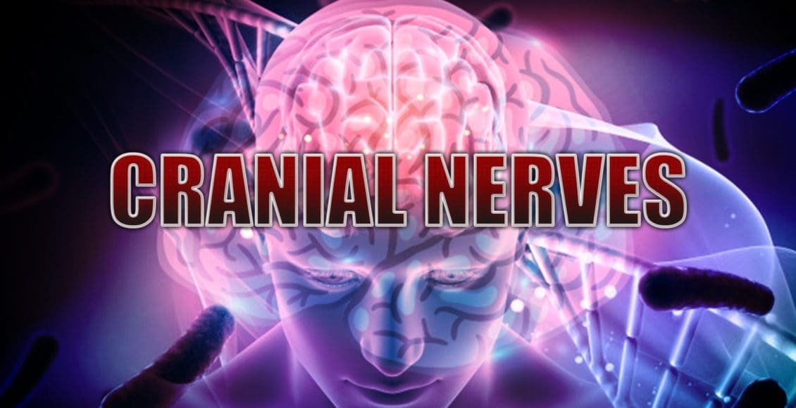 cranial el paso tx.