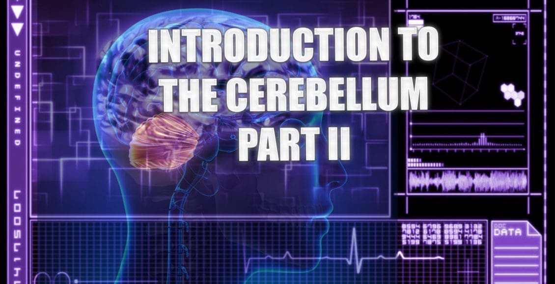cerebellum el paso tx.