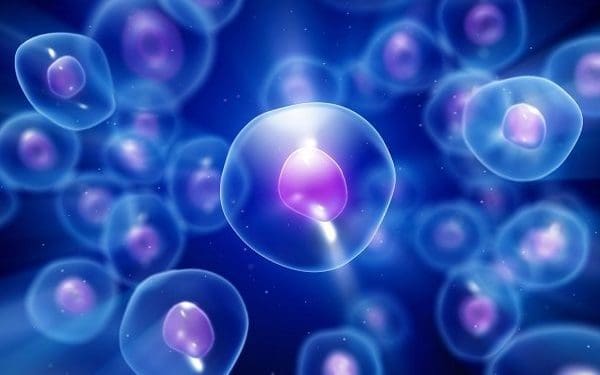 Image of Nrf2 activation explained within the cell.