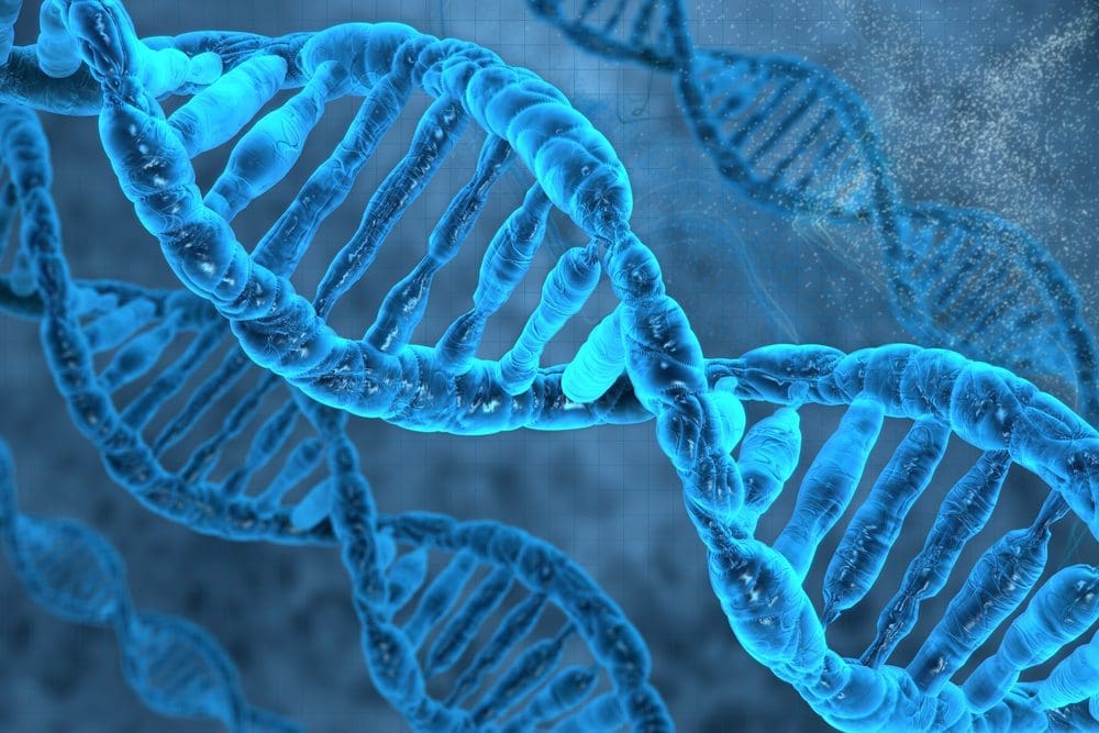 Close-up image of a DNA strand demonstrating Nrf2 activation.