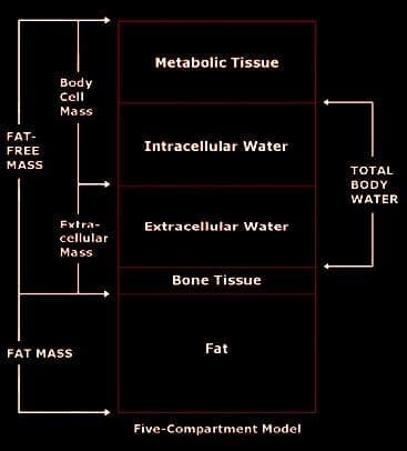 BIA testing Injury Medical & Chiropractic Wellness Clinic el paso, tx.