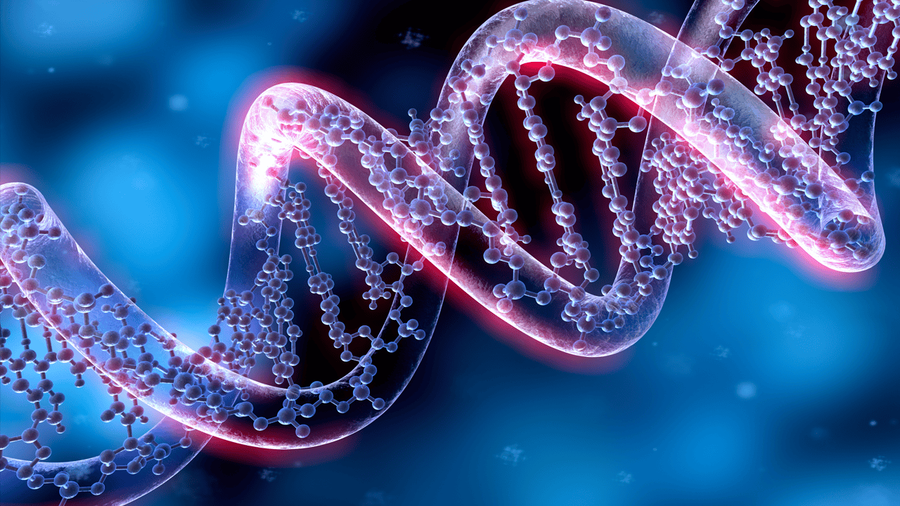 When Methylation Goes Wrong | El Paso, TX Chiropractor