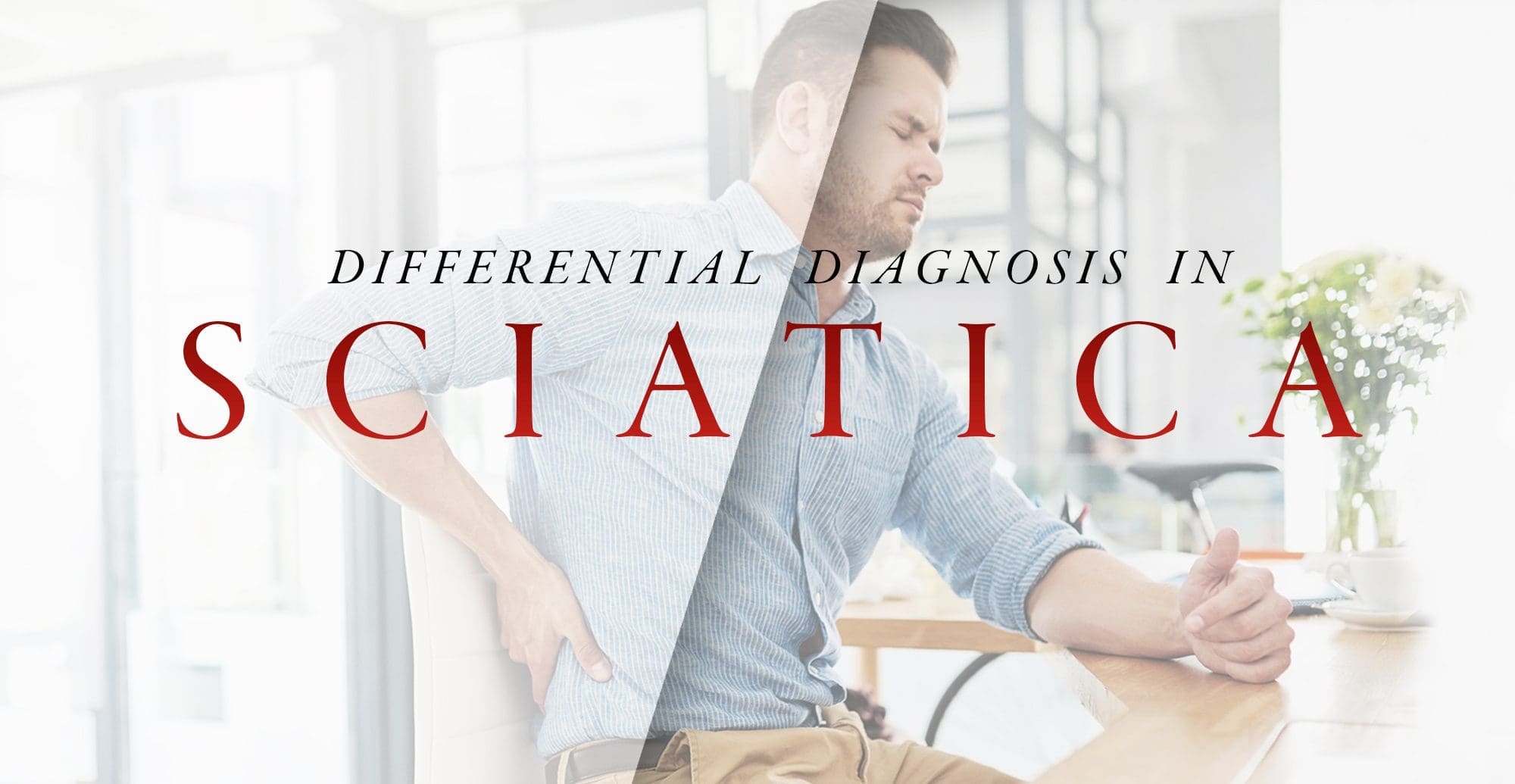 Differential Diagnosis in Sciatica Part 2 | El Paso, TX Chiropractor