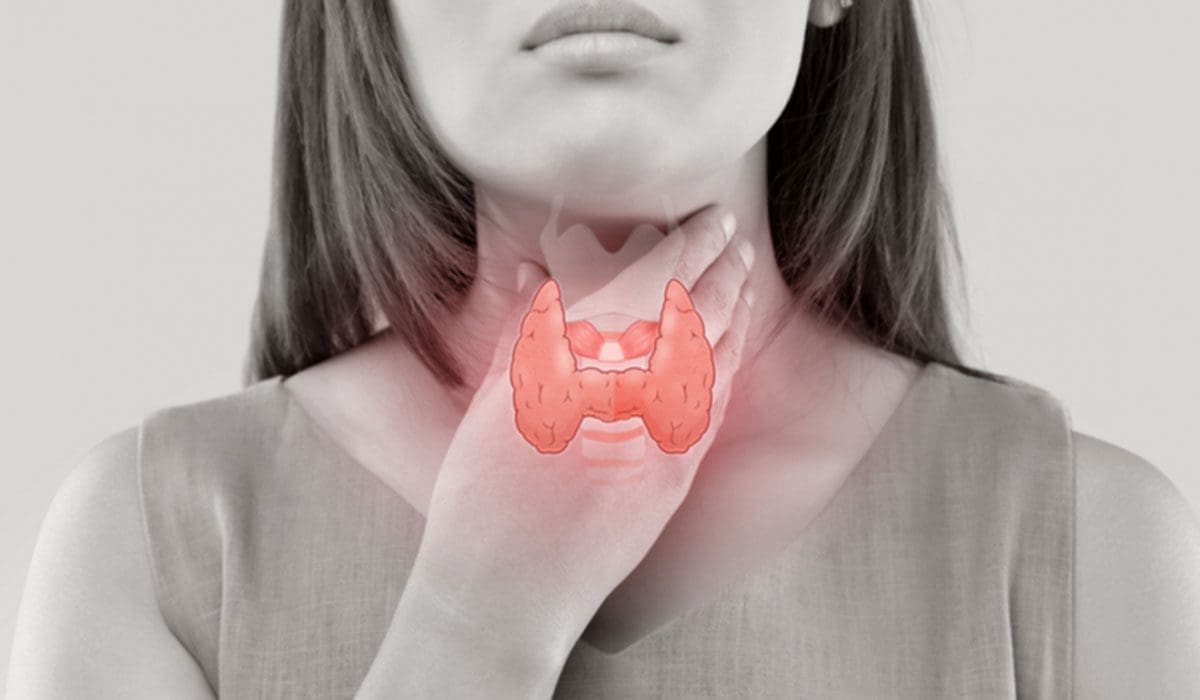 Functional Neurology: Obesity and Thyroid Dysfunction | El Paso, TX Chiropractor