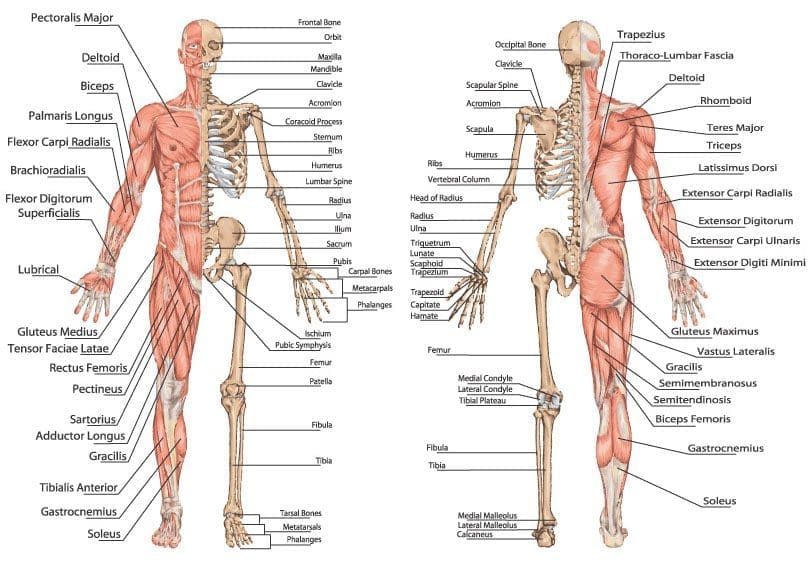 11860 Vista Del Sol, Ste. 128 Chiropractic Is More than Spinal Manipulation El Paso, Texas