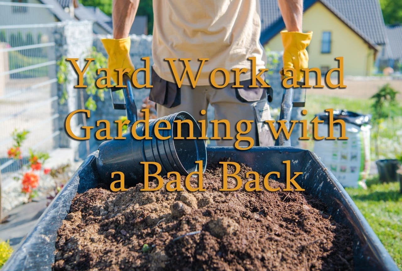 11860 Vista Del Sol, Ste. 128 Yard Work and Gardening With a Bad Back El Paso Texas