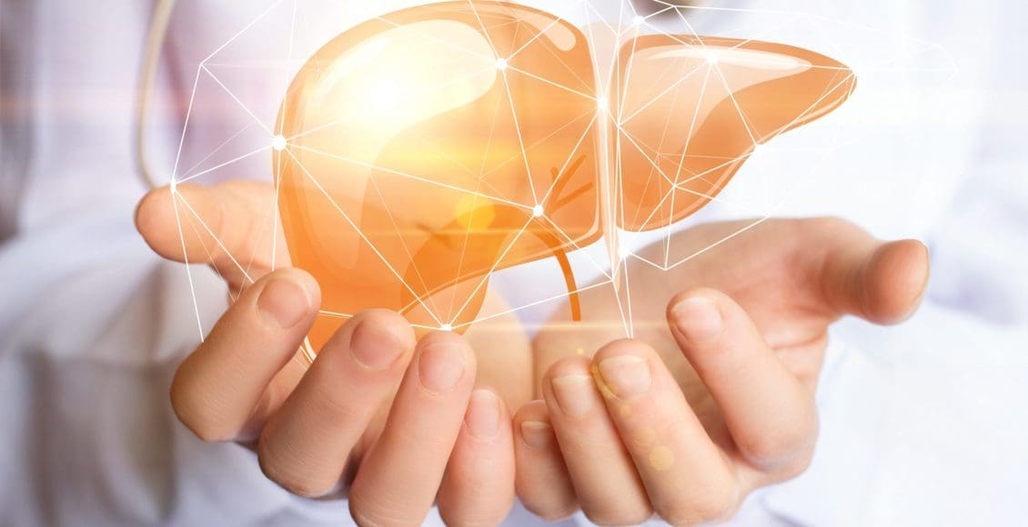 What are the Phases of Liver Detoxification? | El Paso, TX Chiropractor