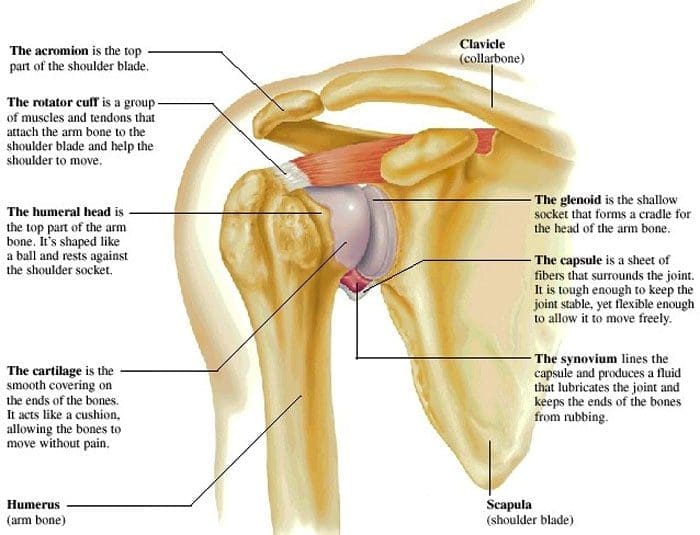 Vitamin B12 and Shoulder Injuries