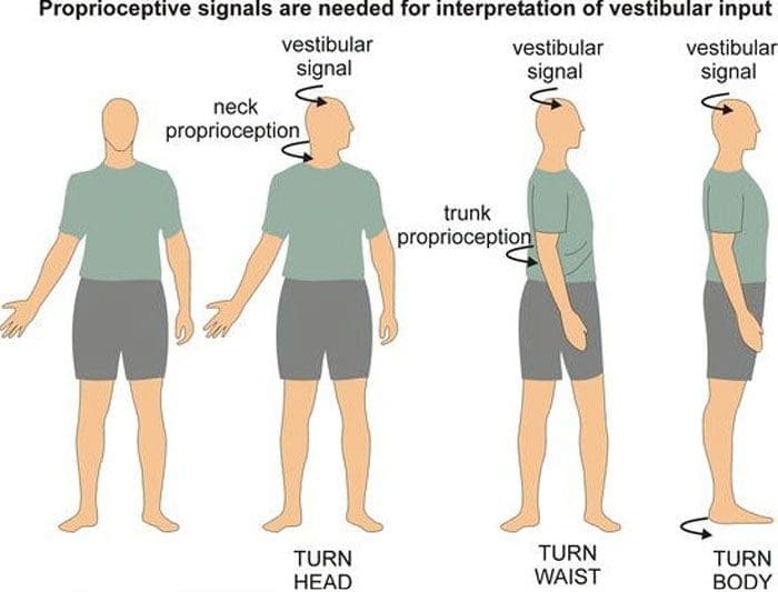 Kinesthesia: Coping with Pain and Enhancing Mobility