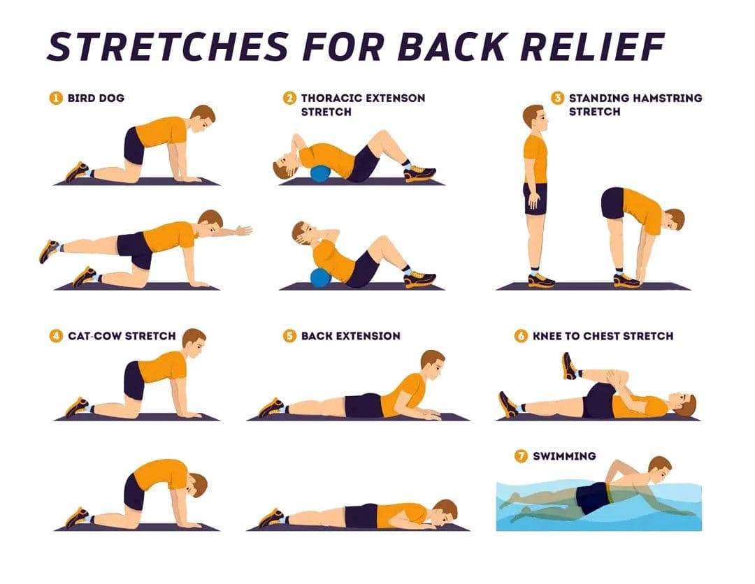 Effective Back Stretches for Pain Relief and Prevention