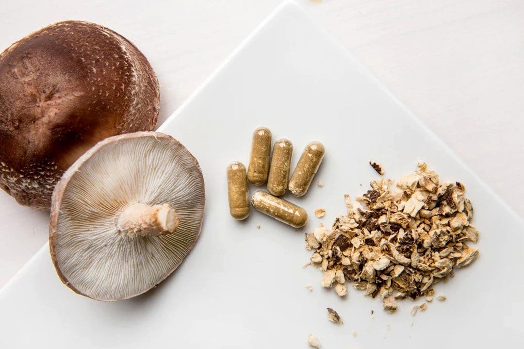 Mushroom Health Benefits: EP's Chiropractic Functional Team