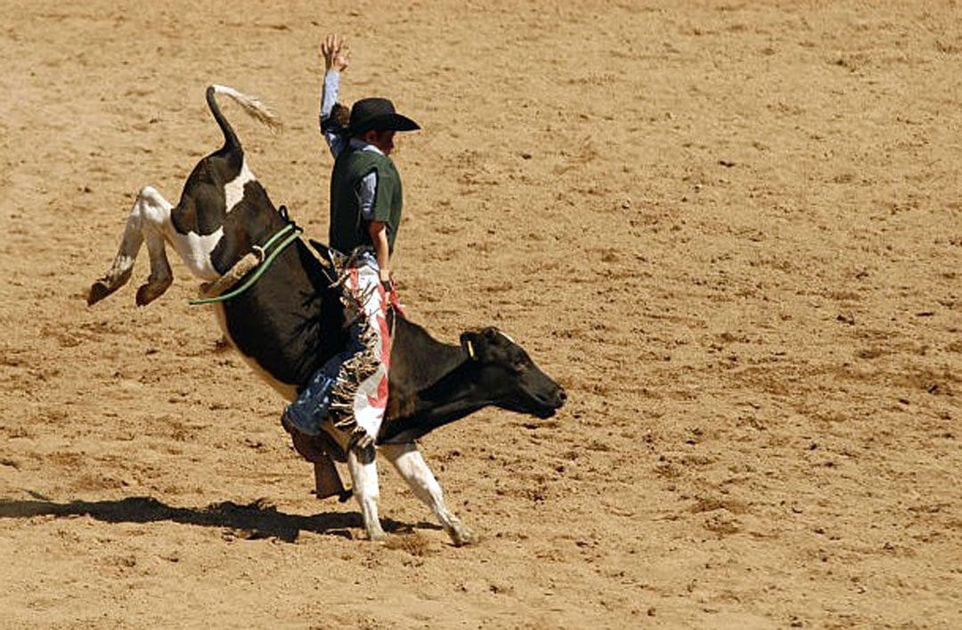 Rodeo Training: EP Chiropractic Functional Health Clinic