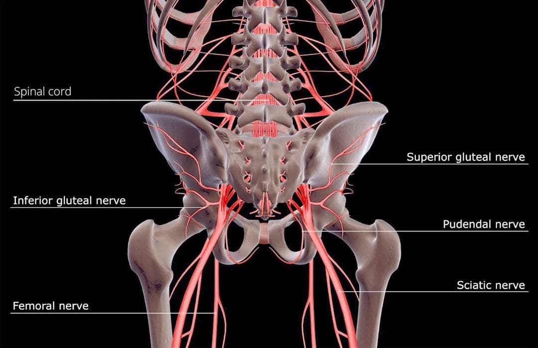 Paresthesia: EP's Chiropractic Specialist Team