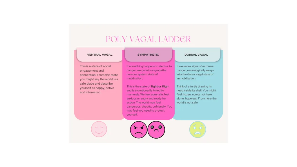 Poly Vagal Ladder